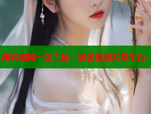 黑料暗网一区二区：匿名信息共享平台  第2张